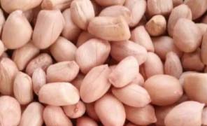 Peanuts